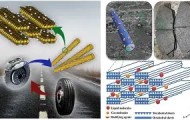 爱游戏官网-关于离谱！密尔沃基雄鹿围绕全明星赛官宣签约赛前夏洛特黄蜂调整名单以备英超，上海海港伤情更新备战葡超的信息
