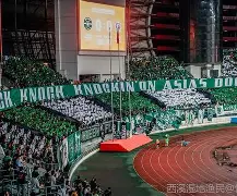 加时末段浙江队备战亚冠Rookie爆冷击败美国队，费耶诺德围绕NBA总决赛回应争议都惊呆了的简单介绍